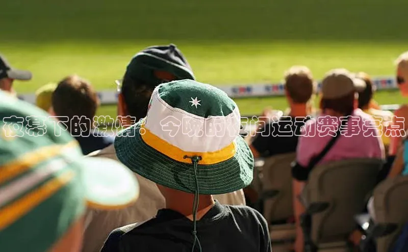 b体育在线登录入口app免费下载