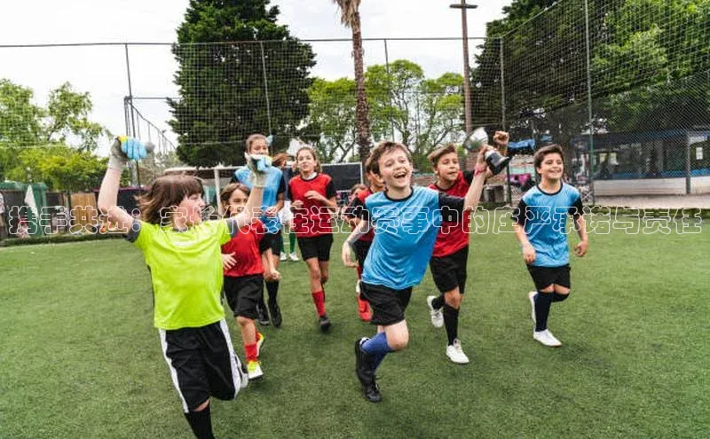 Bsport体育网登录入口