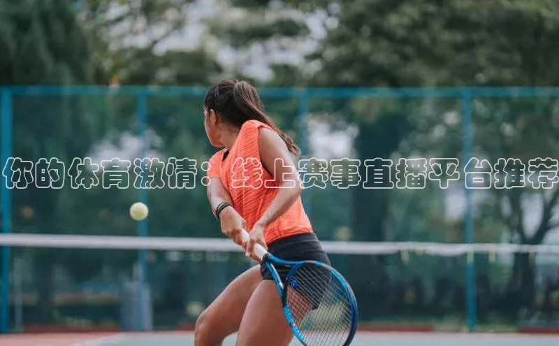 B体育官方入口APP