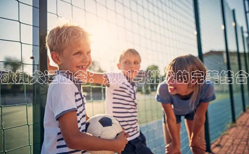 必一·体育(B-Sports)